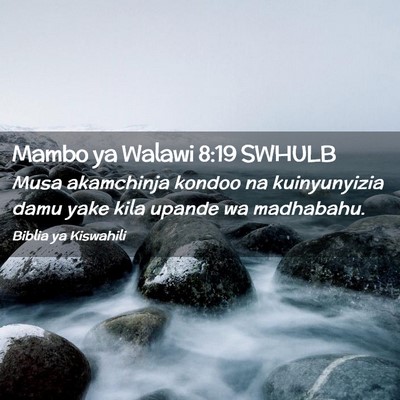 Picture 02 - Mambo ya Walawi 8:19 SWHULB - Musa akamchinja kondoo na kuinyunyizia damu yake - Bible Verse Picture