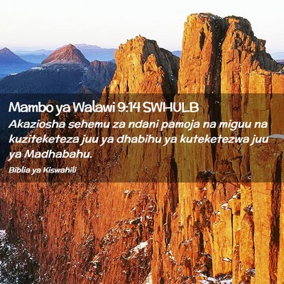 Picture 02 - Mambo ya Walawi 9:14 SWHULB - Akaziosha sehemu za ndani pamoja na miguu na - Bible Verse Picture