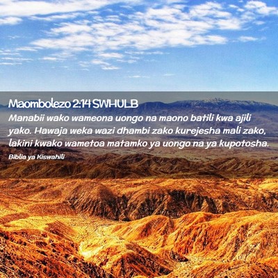 Picture 02 - Maombolezo 2:14 SWHULB - Manabii wako wameona uongo na maono batili kwa - Bible Verse Picture