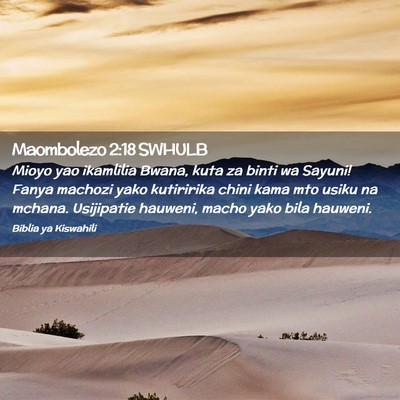 Picture 02 - Maombolezo 2:18 SWHULB - Mioyo yao ikamlilia Bwana, kuta za binti wa - Bible Verse Picture