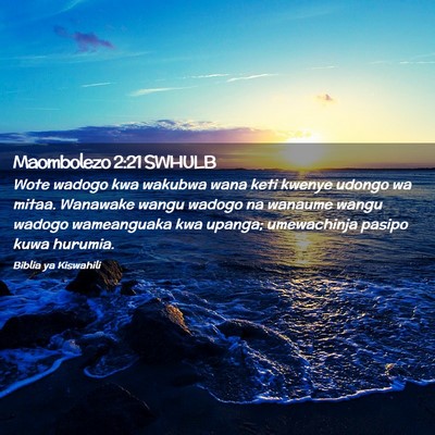 Picture 02 - Maombolezo 2:21 SWHULB - Wote wadogo kwa wakubwa wana keti kwenye udongo - Bible Verse Picture