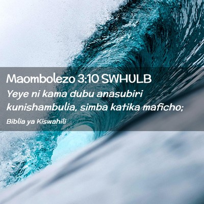 Picture 02 - Maombolezo 3:10 SWHULB - Yeye ni kama dubu anasubiri kunishambulia, simba - Bible Verse Picture