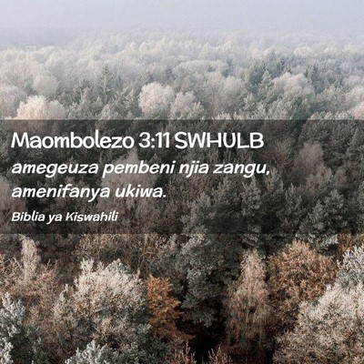 Picture 02 - Maombolezo 3:11 SWHULB - amegeuza pembeni njia zangu, amenifanya - Bible Verse Picture