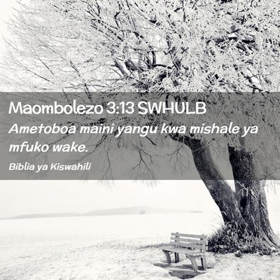 Picture 02 - Maombolezo 3:13 SWHULB - Ametoboa maini yangu kwa mishale ya mfuko - Bible Verse Picture