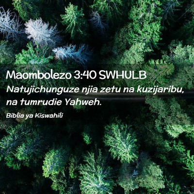 Picture 02 - Maombolezo 3:40 SWHULB - Natujichunguze njia zetu na kuzijaribu, na - Bible Verse Picture