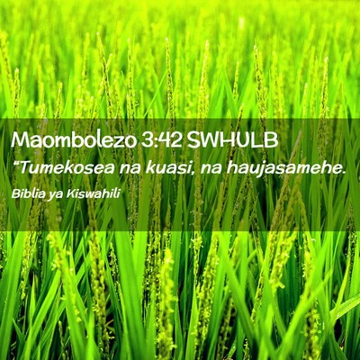 Picture 02 - Maombolezo 3:42 SWHULB - “Tumekosea na kuasi, na - Bible Verse Picture