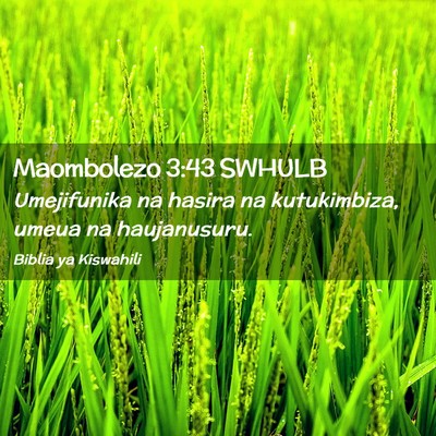 Picture 02 - Maombolezo 3:43 SWHULB - Umejifunika na hasira na kutukimbiza, umeua na - Bible Verse Picture
