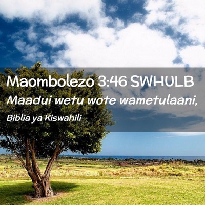 Picture 02 - Maombolezo 3:46 SWHULB - Maadui wetu wote - Bible Verse Picture