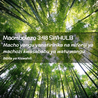Picture 02 - Maombolezo 3:48 SWHULB - Macho yangu yanatiririka na miferiji ya machozi - Bible Verse Picture