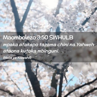 Picture 02 - Maombolezo 3:50 SWHULB - mpaka atakapo tazama chini na Yahweh ataona - Bible Verse Picture
