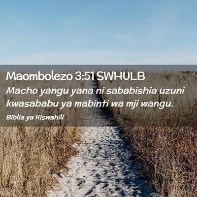 Picture 02 - Maombolezo 3:51 SWHULB - Macho yangu yana ni sababishia uzuni kwasababu ya - Bible Verse Picture