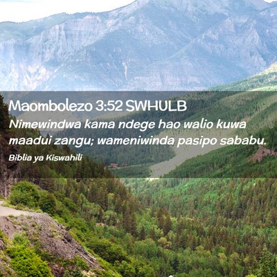 Picture 02 - Maombolezo 3:52 SWHULB - Nimewindwa kama ndege hao walio kuwa maadui - Bible Verse Picture