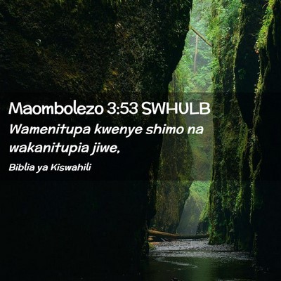 Picture 02 - Maombolezo 3:53 SWHULB - Wamenitupa kwenye shimo na wakanitupia - Bible Verse Picture