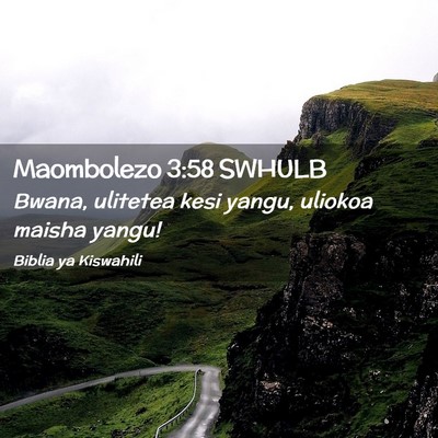 Picture 02 - Maombolezo 3:58 SWHULB - Bwana, ulitetea kesi yangu, uliokoa maisha - Bible Verse Picture