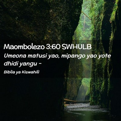 Picture 02 - Maombolezo 3:60 SWHULB - Umeona matusi yao, mipango yao yote dhidi yangu - Bible Verse Picture
