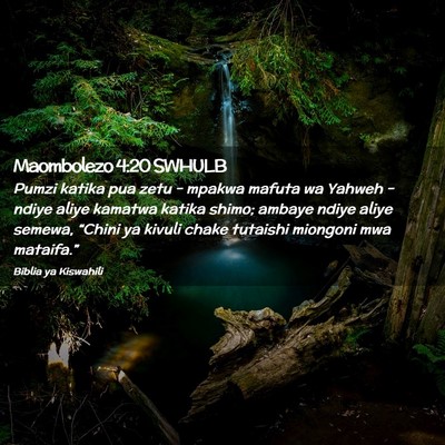 Picture 02 - Maombolezo 4:20 SWHULB - Pumzi katika pua zetu - mpakwa mafuta wa Yahweh - - Bible Verse Picture