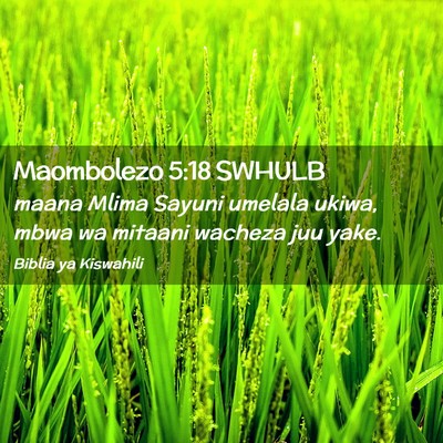 Picture 02 - Maombolezo 5:18 SWHULB - maana Mlima Sayuni umelala ukiwa, mbwa wa mitaani - Bible Verse Picture