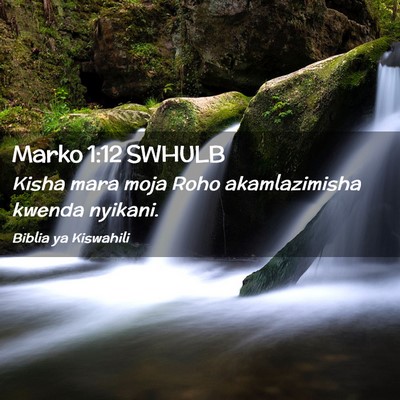 Picture 02 - Marko 1:12 SWHULB - Kisha mara moja Roho akamlazimisha kwenda - Bible Verse Picture