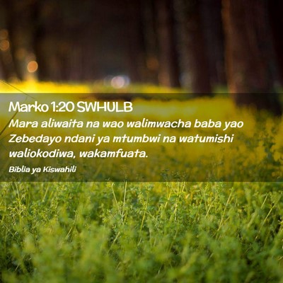 Picture 02 - Marko 1:20 SWHULB - Mara aliwaita na wao walimwacha baba yao Zebedayo - Bible Verse Picture