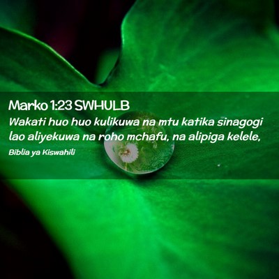 Picture 02 - Marko 1:23 SWHULB - Wakati huo huo kulikuwa na mtu katika sinagogi - Bible Verse Picture