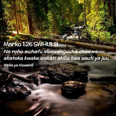Picture 02 - Marko 1:26 SWHULB - Na roho mchafu alimwangusha chini na akatoka - Bible Verse Picture