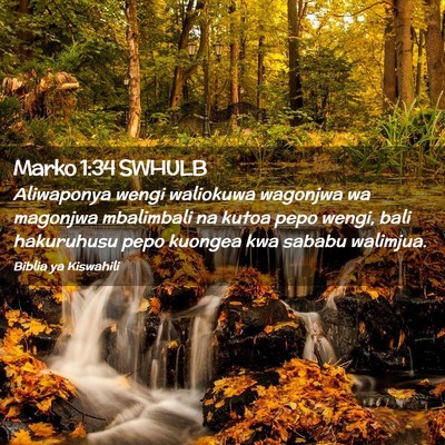 Picture 02 - Marko 1:34 SWHULB - Aliwaponya wengi waliokuwa wagonjwa wa magonjwa - Bible Verse Picture