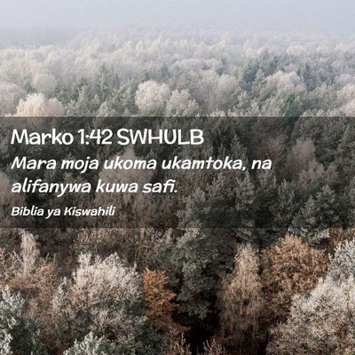 Picture 02 - Marko 1:42 SWHULB - Mara moja ukoma ukamtoka, na alifanywa kuwa - Bible Verse Picture