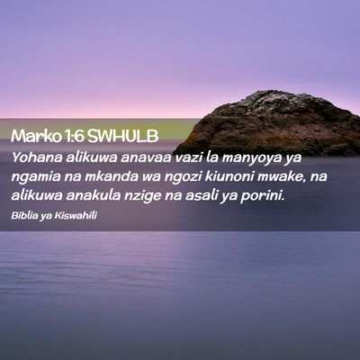 Picture 02 - Marko 1:6 SWHULB - Yohana alikuwa anavaa vazi la manyoya ya ngamia - Bible Verse Picture