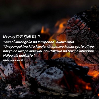 Picture 02 - Marko 10:21 SWHULB - Yesu alimwangalia na kumpenda. Akawambia, - Bible Verse Picture