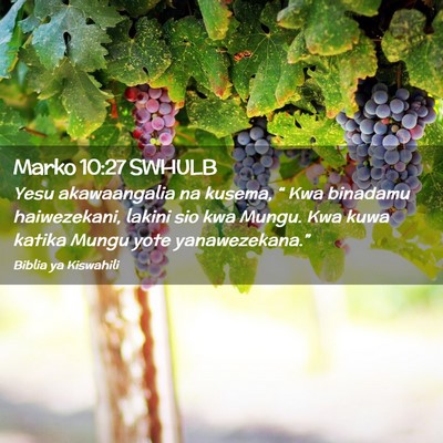 Picture 02 - Marko 10:27 SWHULB - Yesu akawaangalia na kusema, “ Kwa binadamu - Bible Verse Picture