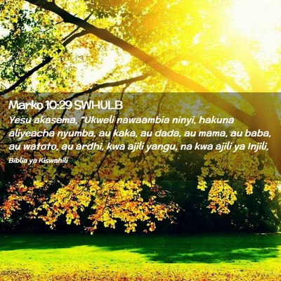 Picture 02 - Marko 10:29 SWHULB - Yesu akasema, “Ukweli nawaambia ninyi, hakuna - Bible Verse Picture