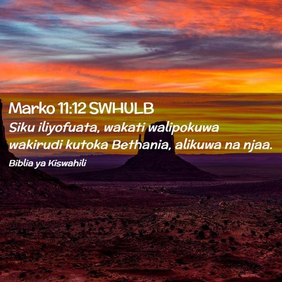 Picture 02 - Marko 11:12 SWHULB - Siku iliyofuata, wakati walipokuwa wakirudi - Bible Verse Picture