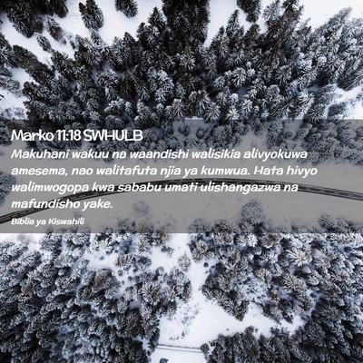 Picture 02 - Marko 11:18 SWHULB - Makuhani wakuu na waandishi walisikia alivyokuwa - Bible Verse Picture