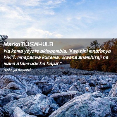 Picture 02 - Marko 11:3 SWHULB - Na kama yeyote akiwaambia, 'Kwa nini mnafanya - Bible Verse Picture