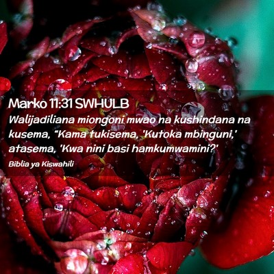 Picture 02 - Marko 11:31 SWHULB - Walijadiliana miongoni mwao na kushindana na - Bible Verse Picture