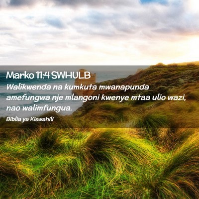 Picture 02 - Marko 11:4 SWHULB - Walikwenda na kumkuta mwanapunda amefungwa nje - Bible Verse Picture