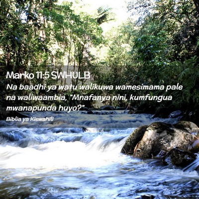 Picture 02 - Marko 11:5 SWHULB - Na baadhi ya watu walikuwa wamesimama pale na - Bible Verse Picture