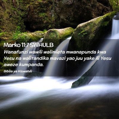 Picture 02 - Marko 11:7 SWHULB - Wanafunzi wawili walimleta mwanapunda kwa Yesu na - Bible Verse Picture