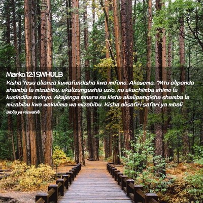 Picture 02 - Marko 12:1 SWHULB - Kisha Yesu alianza kuwafundisha kwa mifano. - Bible Verse Picture
