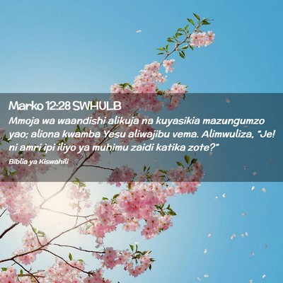 Picture 02 - Marko 12:28 SWHULB - Mmoja wa waandishi alikuja na kuyasikia - Bible Verse Picture