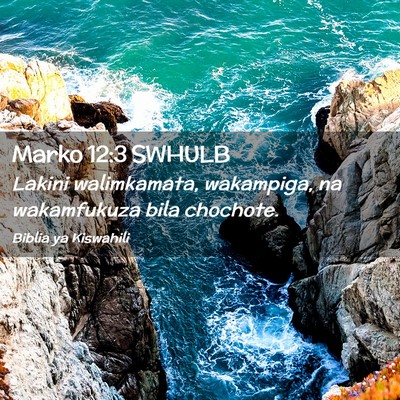 Picture 02 - Marko 12:3 SWHULB - Lakini walimkamata, wakampiga, na wakamfukuza - Bible Verse Picture