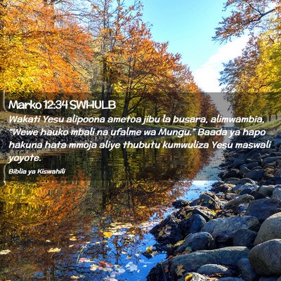 Picture 02 - Marko 12:34 SWHULB - Wakati Yesu alipoona ametoa jibu la busara, - Bible Verse Picture