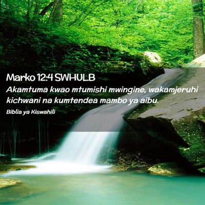 Picture 02 - Marko 12:4 SWHULB - Akamtuma kwao mtumishi mwingine, wakamjeruhi - Bible Verse Picture