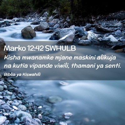Picture 02 - Marko 12:42 SWHULB - Kisha mwanamke mjane maskini alikuja na kutia - Bible Verse Picture