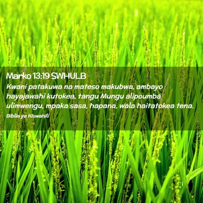 Picture 02 - Marko 13:19 SWHULB - Kwani patakuwa na mateso makubwa, ambayo - Bible Verse Picture