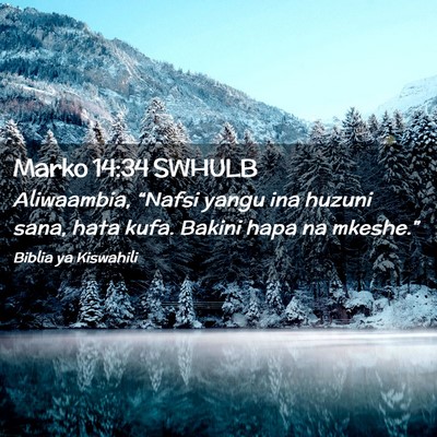 Picture 02 - Marko 14:34 SWHULB - Aliwaambia, “Nafsi yangu ina huzuni sana, hata - Bible Verse Picture