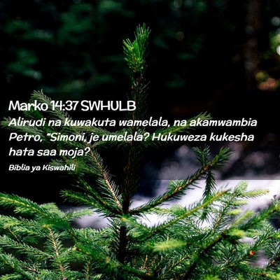 Picture 02 - Marko 14:37 SWHULB - Alirudi na kuwakuta wamelala, na akamwambia - Bible Verse Picture