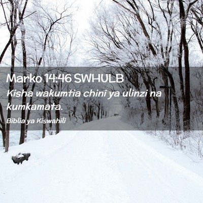 Picture 02 - Marko 14:46 SWHULB - Kisha wakumtia chini ya ulinzi na - Bible Verse Picture