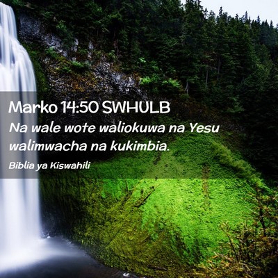 Picture 02 - Marko 14:50 SWHULB - Na wale wote waliokuwa na Yesu walimwacha na - Bible Verse Picture