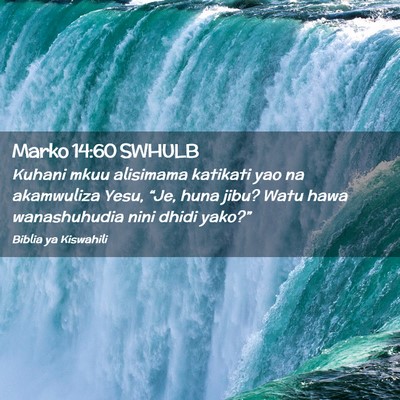 Picture 02 - Marko 14:60 SWHULB - Kuhani mkuu alisimama katikati yao na akamwuliza - Bible Verse Picture